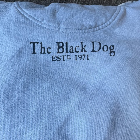 THE BLACK DOG Light Blue Women’s Sweatshirt Size Large ✨ - Picture 3 of 9